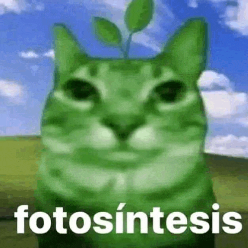 a green cat with a plant growing out of its head and the word fotosintesis written below it .