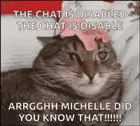a cat with a flower on its head is laying on a bed with a caption .