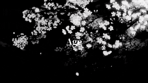 a black and white photo of a tree with flowers and the word age