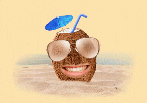 Summer Coconut GIF