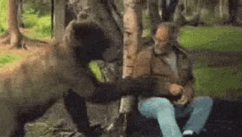 a man and a bear are playing with each other in a park .