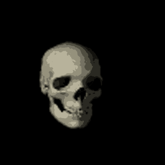 a black and white photo of a skull on a black background .