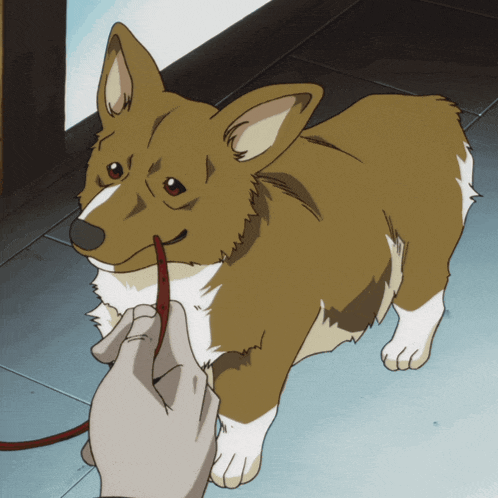 a brown and white dog is being held by a person on a leash