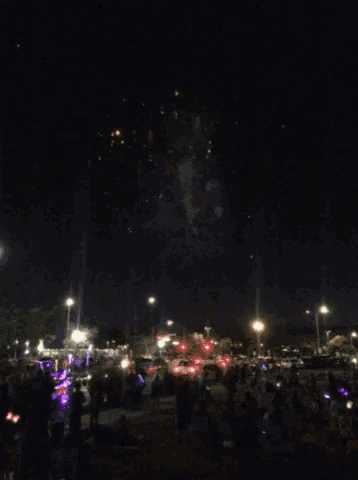 a fireworks display is being watched by a crowd of people