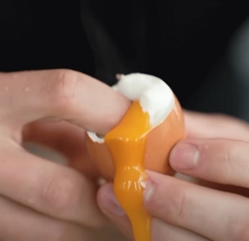 Eggfunny GIF - Eggfunny GIFs