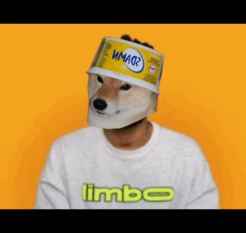a person with a dog mask on their head and a limb shirt