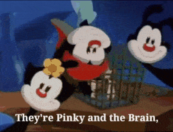 a cartoon says they 're pinky and the brain on the bottom of the screen