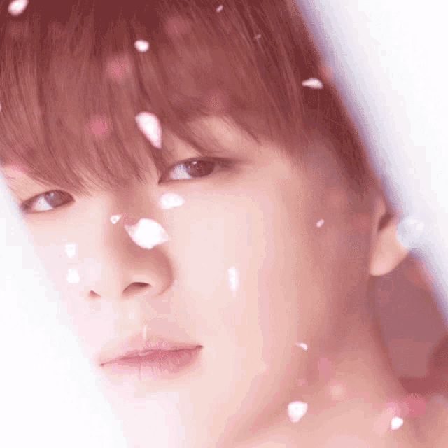a close up of a person 's face with petals falling from it