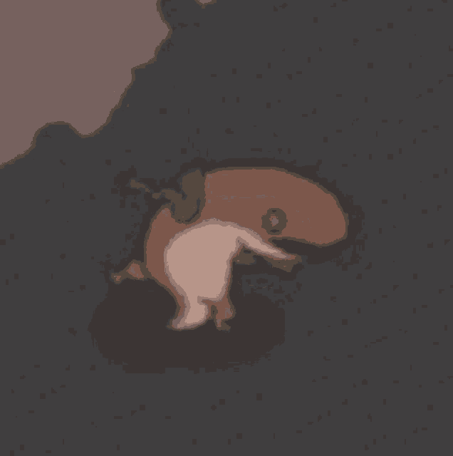Rya Dance GIF