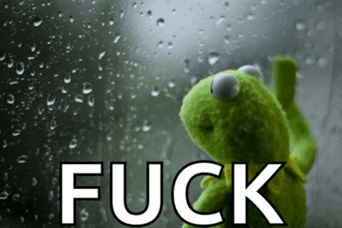 a kermit the frog is looking out a window with the word fuck in white letters