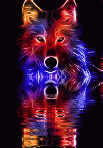 Wolf Water GIF - Wolf Water Reflection GIFs