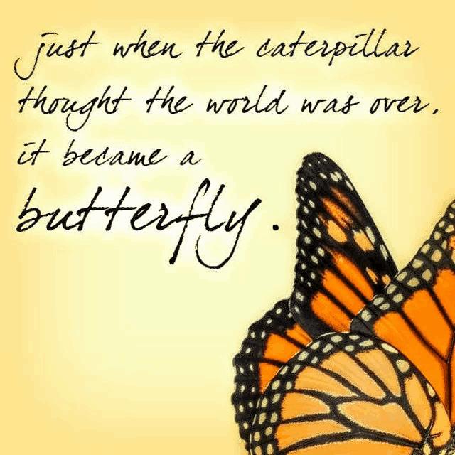 a butterfly with a quote that says just when the caterpillar thought the world was over it became a butterfly .