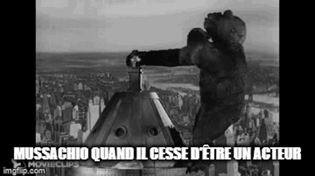 a black and white photo of a giant gorilla standing on top of a building .