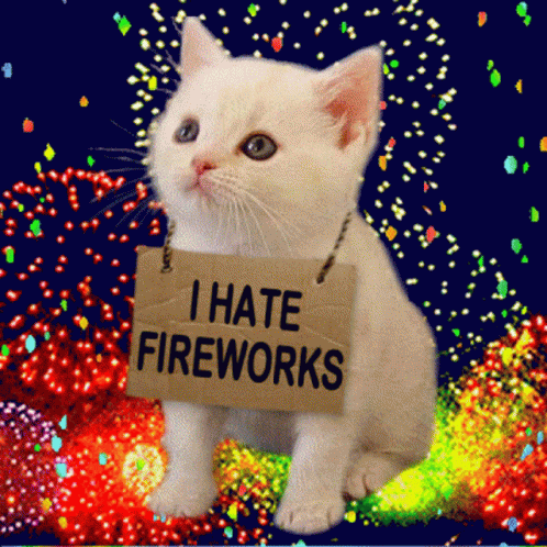 I Hate Fireworks Pets Hate Fireworks GIF - I Hate Fireworks Pets Hate Fireworks Animals Hate Fireworks GIFs