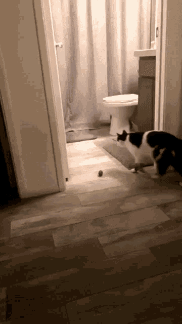 a black and white cat is playing with a ball in the bathroom