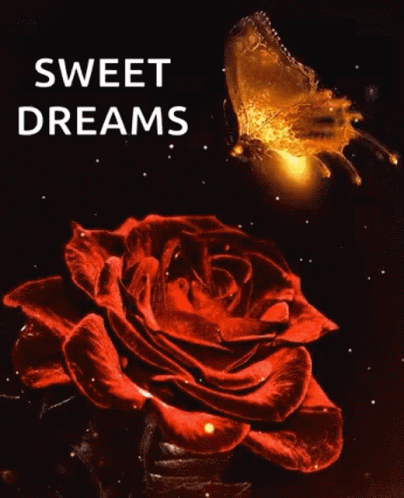 Sweet Dreams Butterflies GIF - Sweet Dreams Butterflies Sparkles GIFs