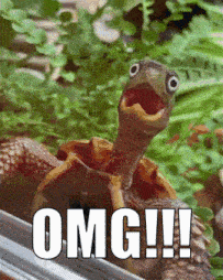 a turtle with its mouth open and the words omg written on it
