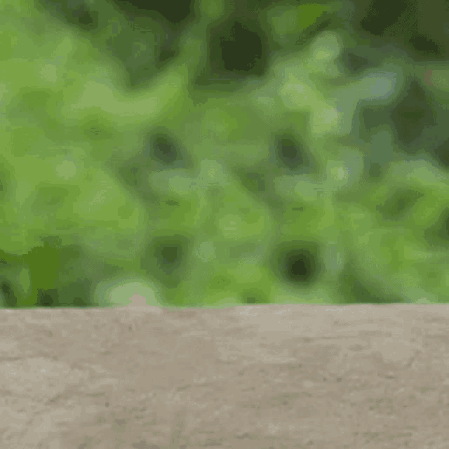 Special GIF - Special GIFs