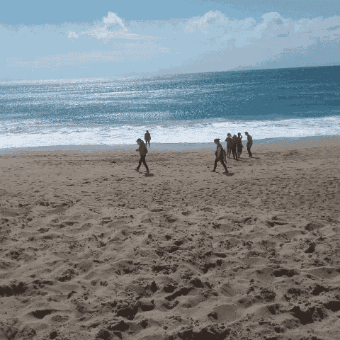 a group of people are walking on the beach near the ocean
