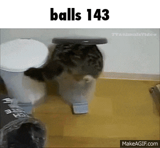 a cat is standing on a trash can with the words balls 143 above it