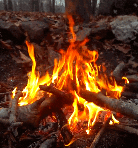 a campfire is surrounded by rocks and leaves and is burning brightly