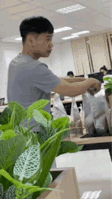 a man is standing next to a plant in an office .