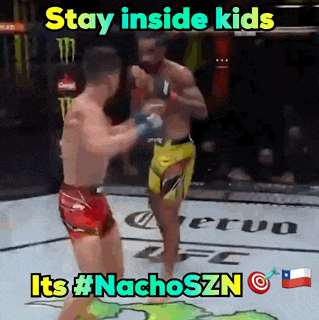 two men are fighting in a boxing ring with the caption stay inside kids its #nachoszn