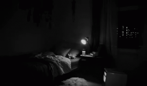 Gece Kuşu GIF - Gece Kuşu GIFs