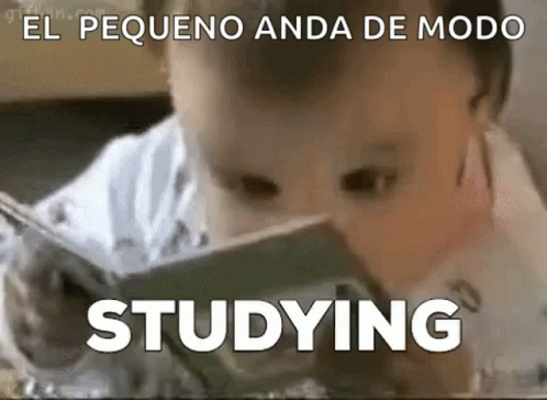 Studying Busy GIF - Studying Busy Focus GIFs