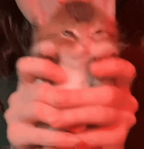 a person is holding a kitten in their hands with red lights behind them .