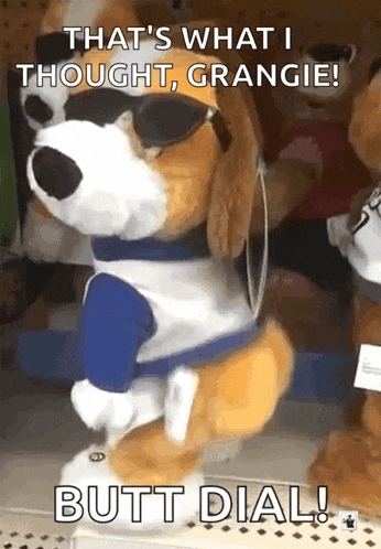 a stuffed dog wearing sunglasses and a blue shirt says that 's what i thought grangie butt dial !