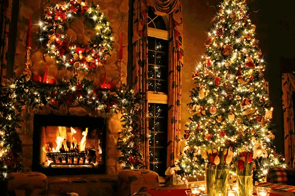 two christmas trees are lit up in a living room with a fireplace