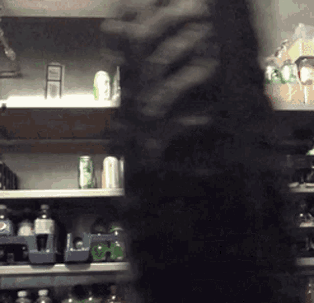 a person standing in front of a shelf full of soda