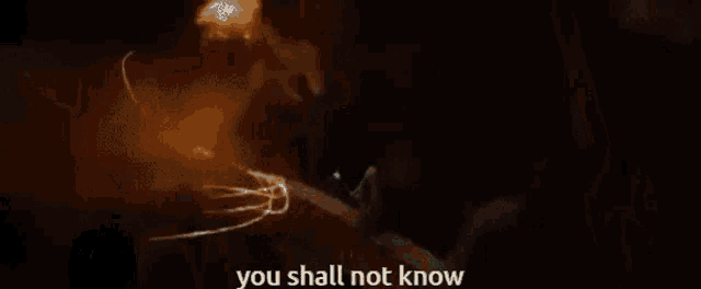 a man with long hair and a beard is holding a sword and a stick and says " you shall not know "