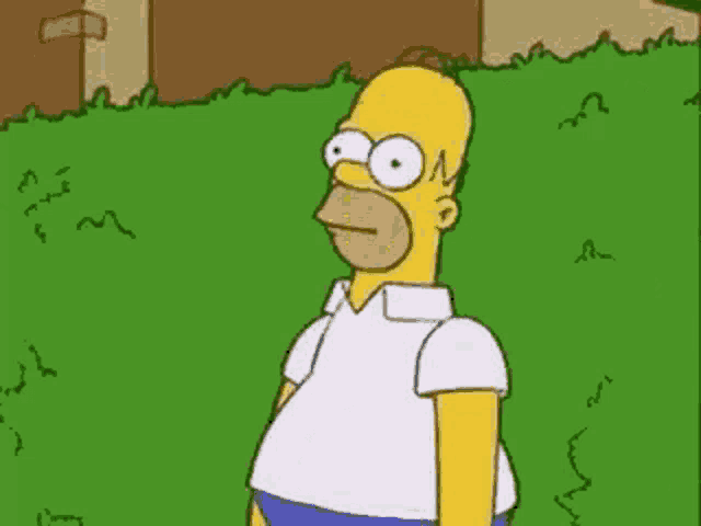 homer simpson from the simpsons is standing in the grass looking at something .