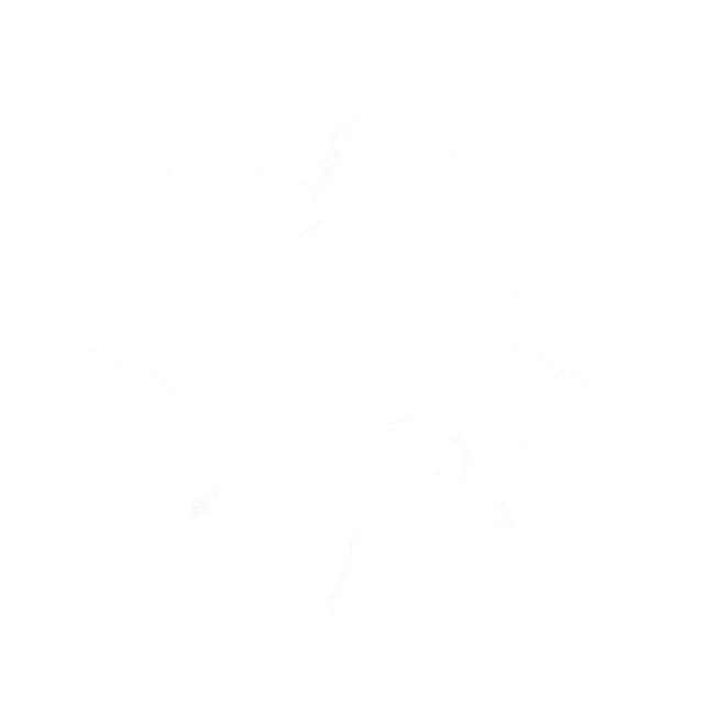 a blurred image of a person 's face with a white background