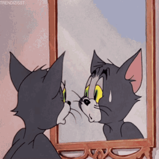 a cartoon cat looking at itself in a mirror