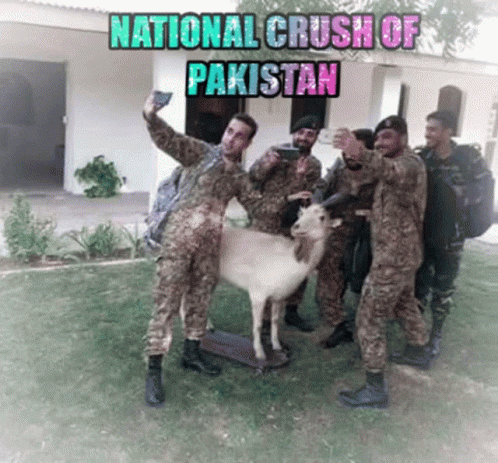 National Crush Of Pakistan Selfie GIF - National Crush Of Pakistan Selfie GIFs