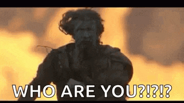 a man is standing in front of a fire with the words `` who are you ? ''