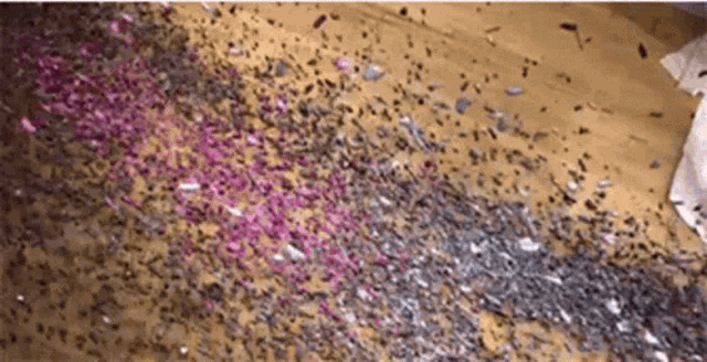 a pile of confetti is laying on the floor