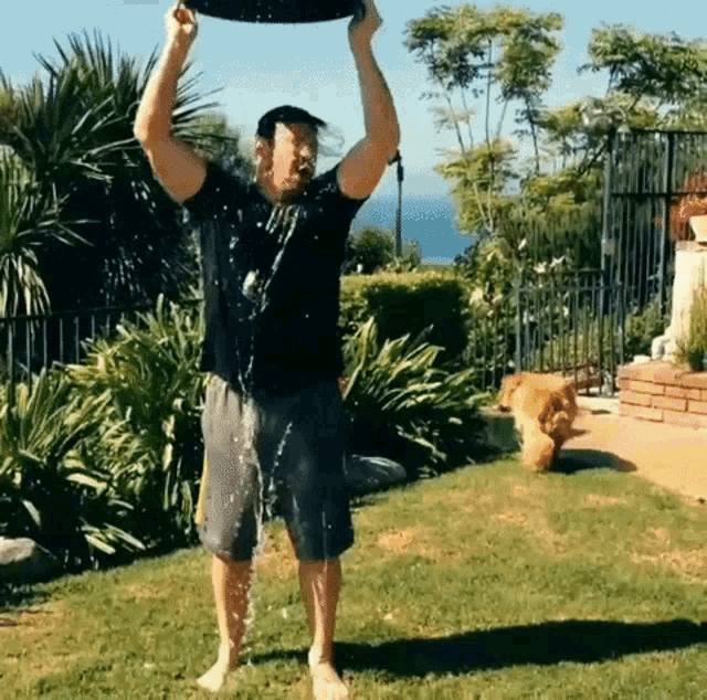 a man is standing in the grass holding a bucket over his head