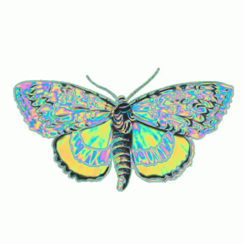 Holographic Butterfly Flying GIF - Holographic Butterfly Flying Wings GIFs