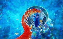 Finding Dory GIF - Finding Dory GIFs