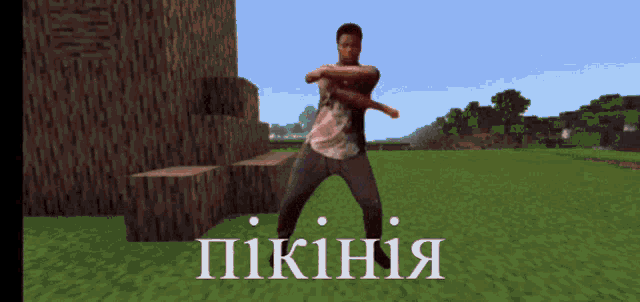 a man is dancing in a video game with the word pikinia written on the bottom
