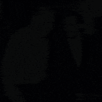 two men are standing next to each other with the spini logo in the corner