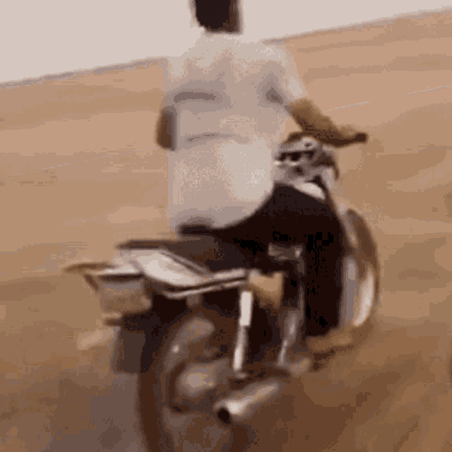 Out Of Control Motorcycle Wheelie GIF