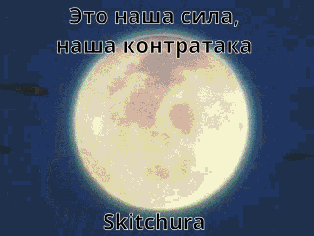Skitchura Skitchura D GIF - Skitchura Skitchura D Sagusky GIFs