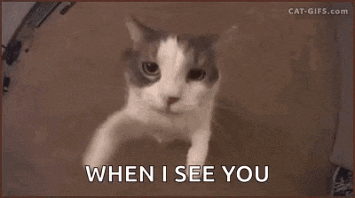 a close up of a cat with the words `` when i see you '' written on the bottom .