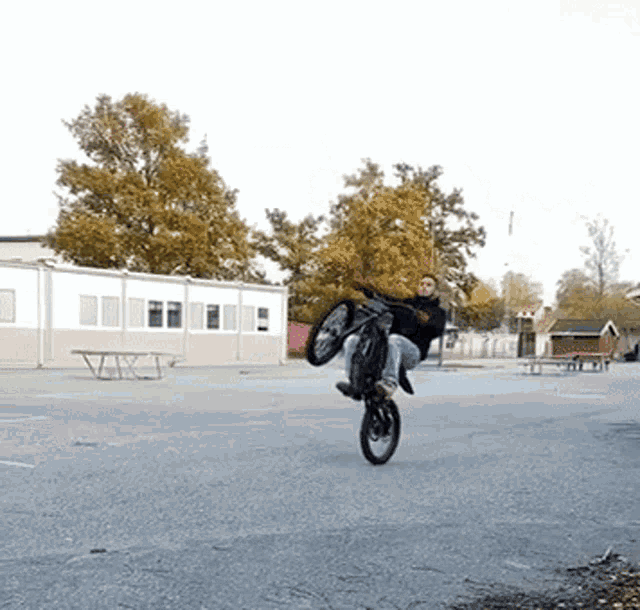 Wheelie Surron GIF - Wheelie Surron Sungod GIFs