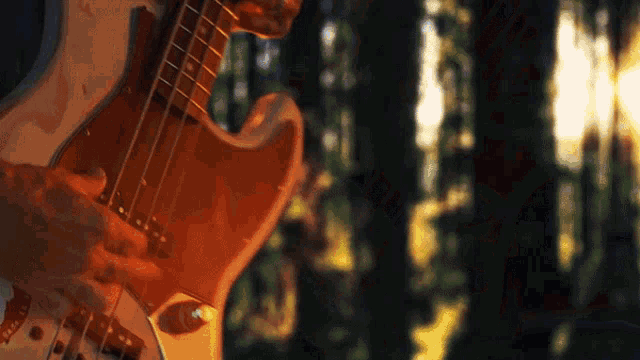 a person is playing a guitar in the woods with trees in the background